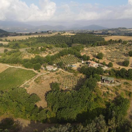 Вілла Agriturismo Pozzo Dei Cocci Morleschio Екстер'єр фото