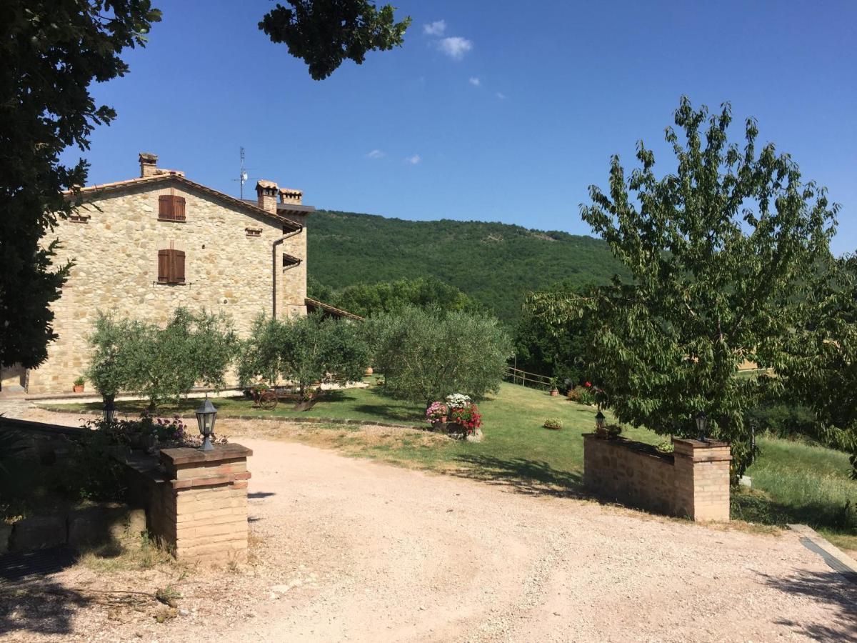 Вілла Agriturismo Pozzo Dei Cocci Morleschio Екстер'єр фото